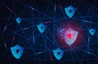 Fed. Judge Approves Settlement, Fees Against St. Louis Firm's Data Breach