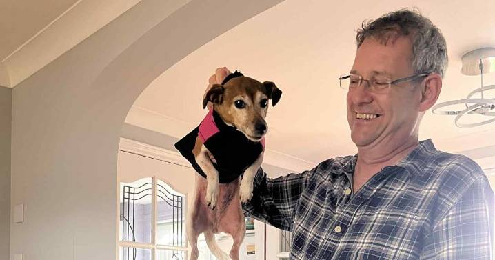 West Lothian man 'knocked unconscious by thug dog walker' before falling into burn