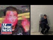 Man arrested for dumping paint on ICE facility seen visibly shaken