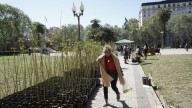 La UNR entregará mil árboles nativos producidos en el vivero de Agrarias