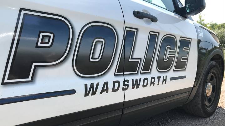 Wadsworth left in the dark after transmission pole fire causes citywide power outage