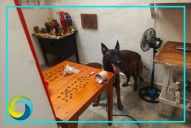 Tenían su “guardadito”: Decomisan droga y objetos prohibidos en cárcel de Chetumal