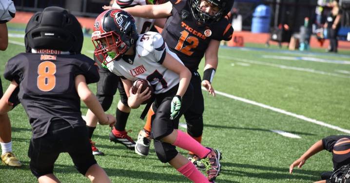 Le Roy Youth Knights Teams Advance to Championship After Thrilling Playoff Wins