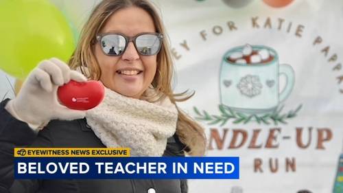 Hoffman Estates Timber Trails Elementary School teacher Katie Pappas gets 2nd life