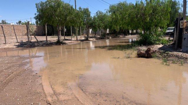 Preocupación en barrio Los Cerros por desborde de acequias y posible foco infeccioso