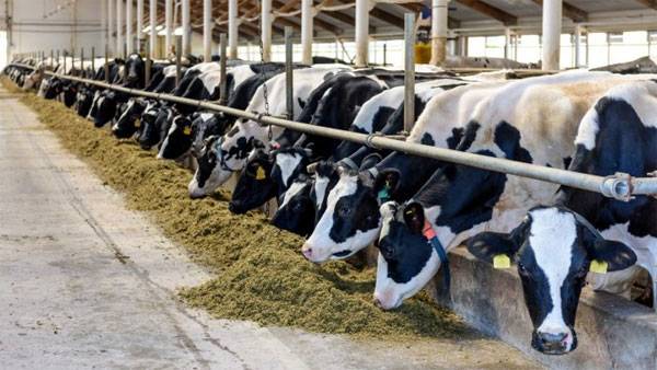 PM Modi unveils Rs 947 crore projects to boost livestock and dairy sector