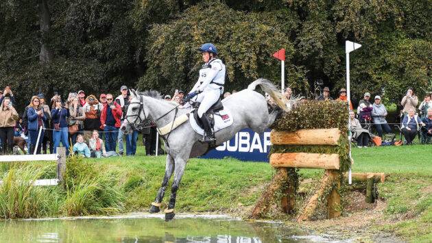 Low entries at Maryland five-star and bumper numbers at Pau