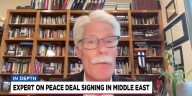 IN DEPTH ON PEACE DEAL AND SHUTDOWN