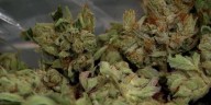 Some Tennessee hemp stores will have fewer restrictions on THC products as new rules take effect