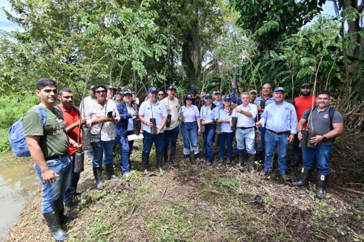 CVC y comunidad de Andalucía sembraron 3.000 árboles: así avanza la meta verde del Valle del Cauca