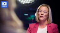Minister flags compulsory voting in local government elections, 4