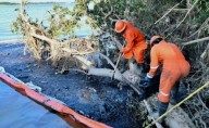 Pemex: contamina y no repara los daños en el 86% de los casos