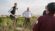 El Ayuntamiento de Ayamonte denuncia que el deslinde de Doñana altera la naturaleza de la marisma