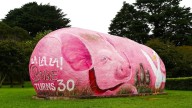 Babe's 30th anniversary celebrated in Robertson