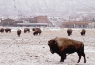 Millions Face Plummeting Subfreezing Weather in 6 States