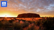 Marking 40 years since the historic handback of Uluṟu