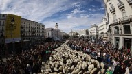 Un rebaño de 1.300 ovejas y cabras reivindica la trashumancia en el corazón de Madrid