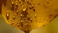 Utah's water year leaves many worried