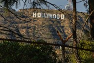 Hay una industria perdiendo 42.000 puestos de trabajo y desangrándose ante nosotros: Hollywood
