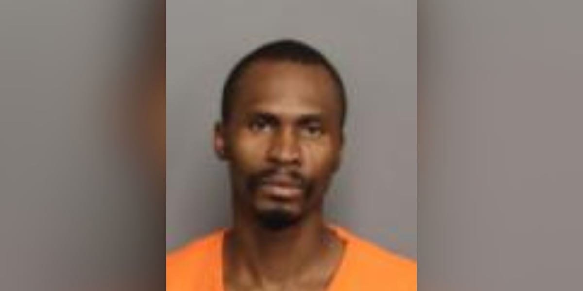 SLED: Laurens County man charged with identity fraud