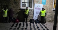 Imputan a dos parejas por el tráfico de 230 kilos de cocaína