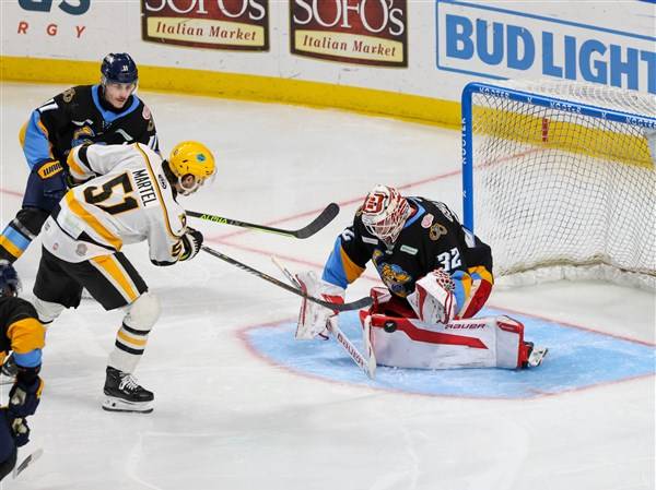 Goaltender Gylander assigned back to the Toledo Walleye