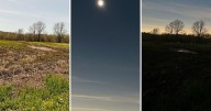 Research reveals why birds sang after total solar eclipse