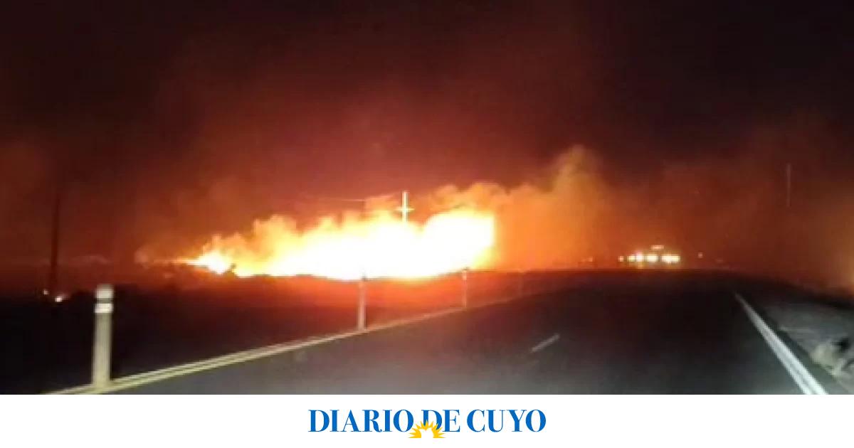 Un incendio de grandes dimensiones en Ruta 40, una de las 33 intervenciones que tuvo Bomberos por el viento Zonda