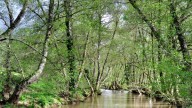 La desconocida ruta micológica de Huelva que discurre entre bosques, valles y setas