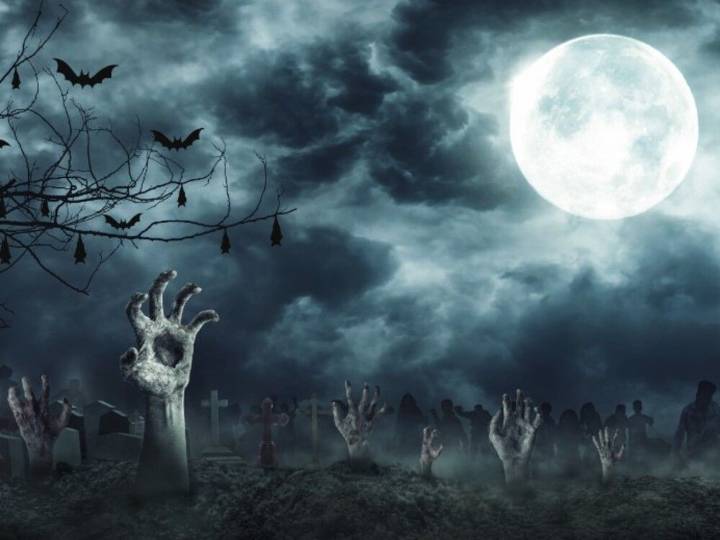 Soaked to the bone: Metro Vancouver's Halloween forecast looks eerily damp