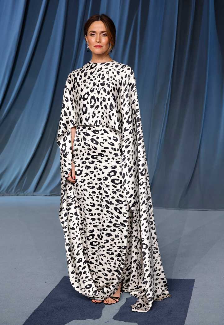 The 2025 Academy Museum Gala DID Provide Patterns