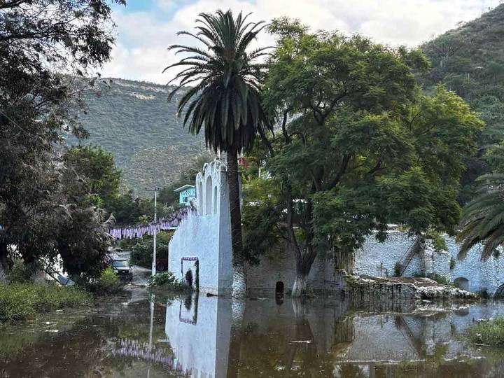 Pobladores de Hidalgo piden ayuda tras perder cosechas por lluvias