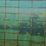 Here’s how underwater welding is becoming a more accessible trade for Arizonans
