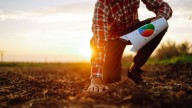 Proponen en Reino Unido un cambio completo en la forma de comer: priorizará la sustentabilidad
