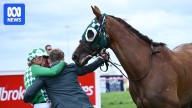 Melbourne Cup lead-in race, Geelong Cup, postponed due to strong winds