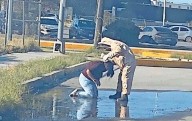 Fuera de peligro, empleada tras 400 piquetes de abeja
