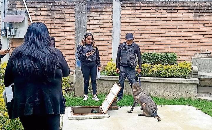 Caso Itzel Díaz González: La joven hallada sin vida en una cisterna, en Ozumba