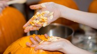 The Best Type Of Pumpkin To Grow For Seed Saving