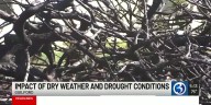 Abnormally dry conditions stress fire departments and homeowners across New Haven County