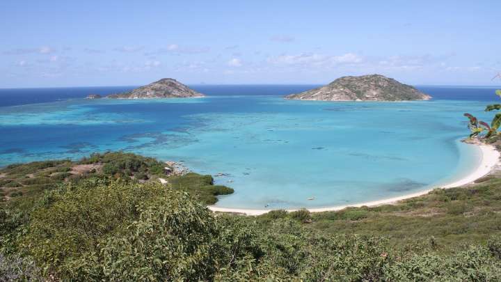 Tragic discovery after cruise ship crew combs remote Lizard Island on the Great Barrier Reef following disappearance of passenger in her 80s