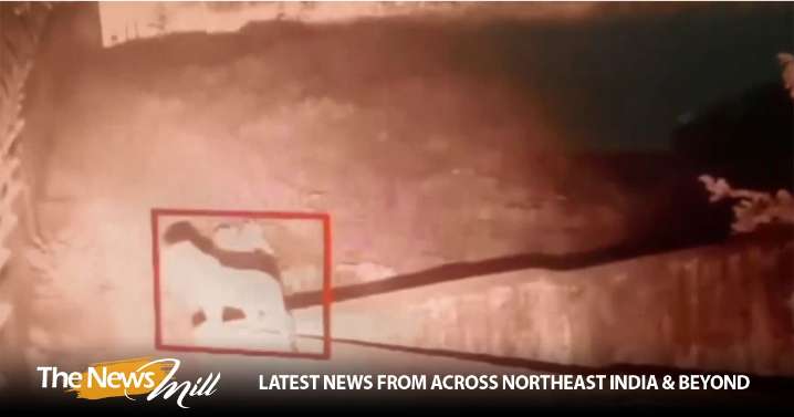 Panic in Ambala village after reports of leopard sighting near Air Force Station