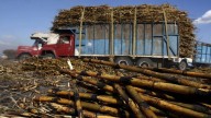 Continúa la crisis en el sector cañero denuncian integrantes de la CNPR y CNC