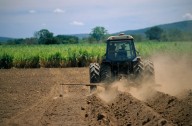 Farmer bailout? Trump prepping possible aid amid tariff war