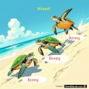 Wildlife news: 'green turtles are bouncing back'