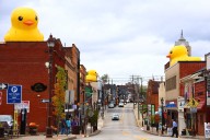 PHOTOS: Thousands Of Rubber Ducks Take Over Pennsylvania Town; Here’s Who’s Behind It