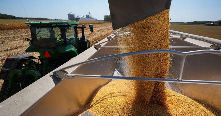 Trump considers massive bailout of at least $10 billion for American farmers hurt by his trade war