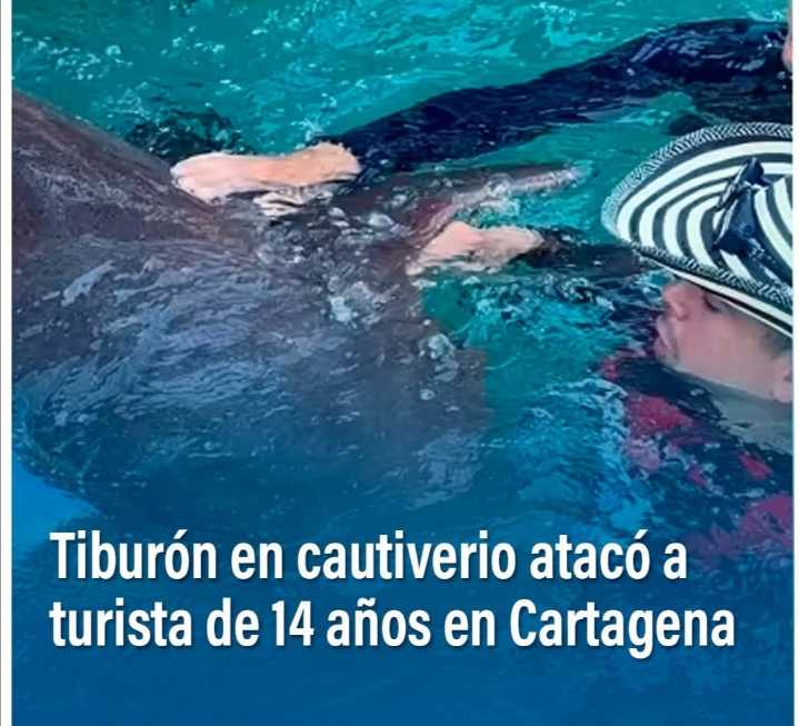 «Tragedia en el Paraíso: Tiburón Ataca a Turista Menor de edad en Cartagena»