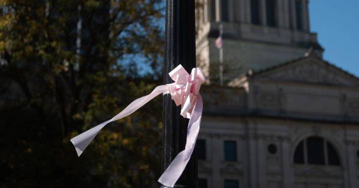Pink ribbons, big results: Vera Bradley funding powers IU research