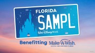 Walt Disney World specialty plate raises $5M for Make