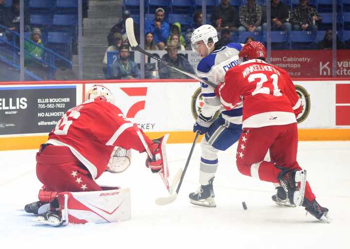 Sudbury Wolves Weekend Wrap-up: Looking for consistency